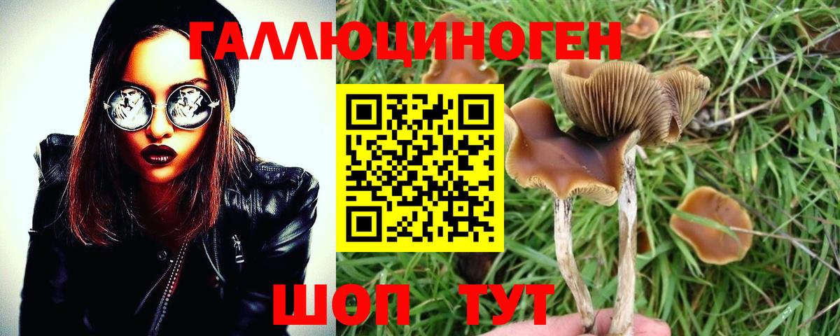 Галлюциногенные грибы GOLDEN TEACHER  Вход с VPN  Владивосток 