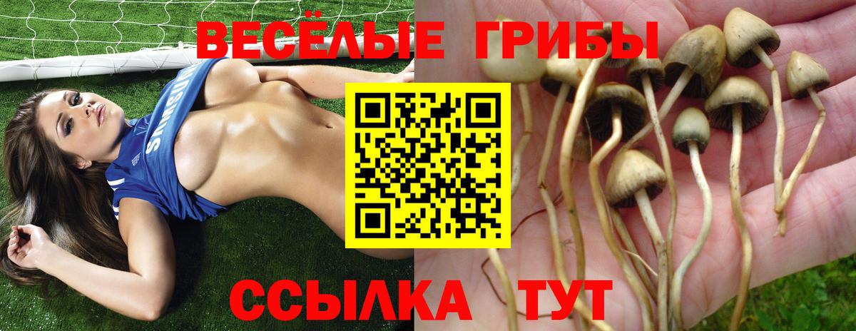 Псилоцибиновые грибы ЛСД Владивосток